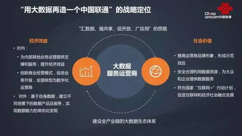 聯(lián)通大數(shù)據(jù) 驅(qū)動智慧城市發(fā)展的互聯(lián)網(wǎng)數(shù)據(jù)服務引擎